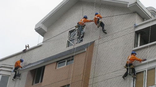 重慶蘑菇视频黄色视频